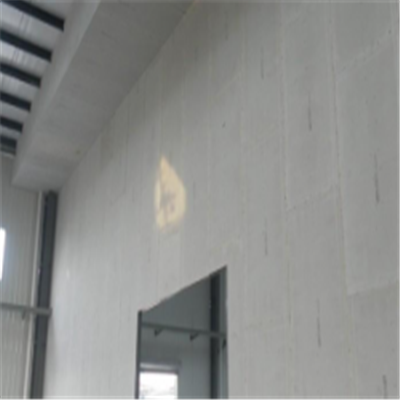 宜黄宁波ALC板|EPS加气板隔墙与混凝土整浇联接的实验研讨